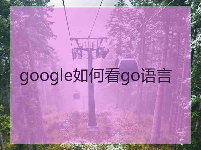 google如何看go语言