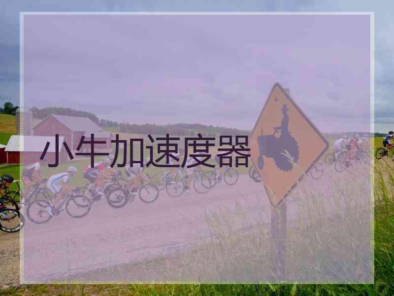 小牛加速度器