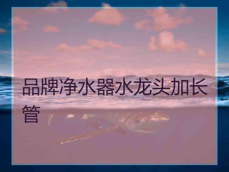 品牌净水器水龙头加长管