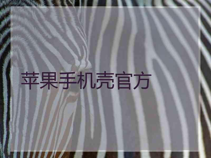 苹果手机壳官方