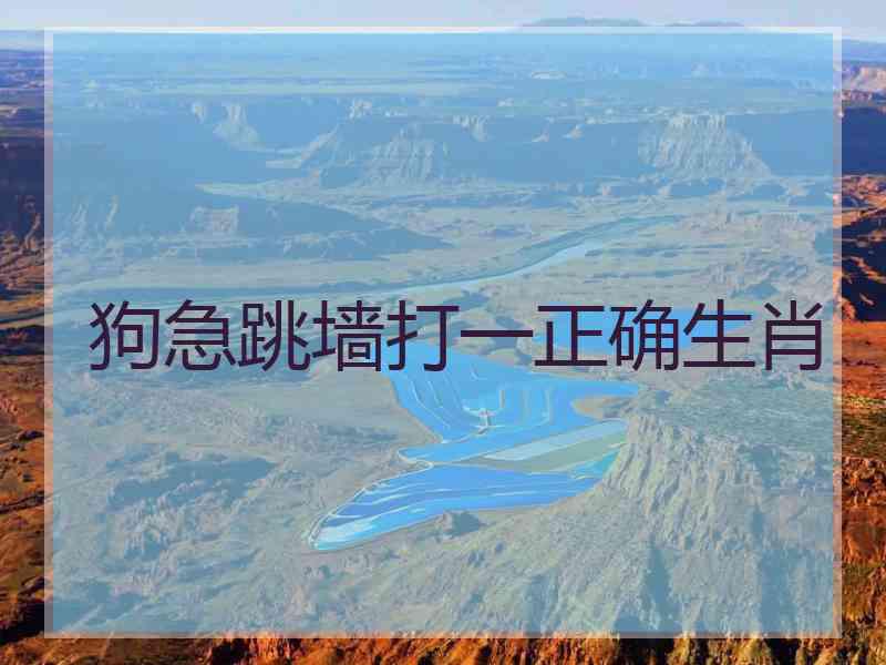 狗急跳墙打一正确生肖