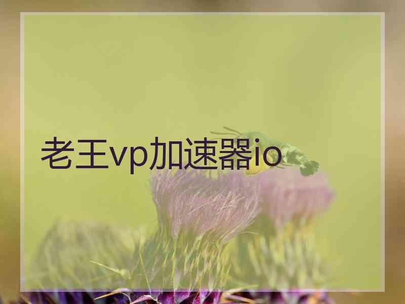 老王vp加速器io