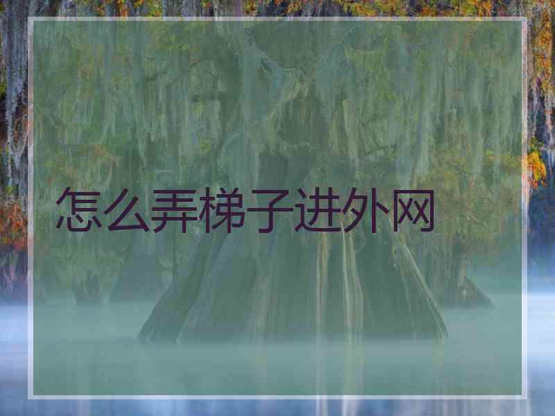 怎么弄梯子进外网