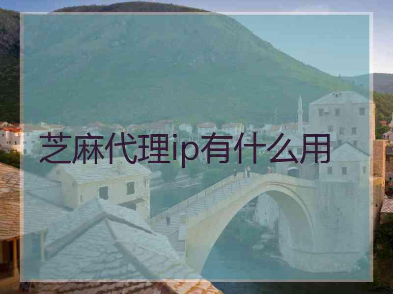 芝麻代理ip有什么用