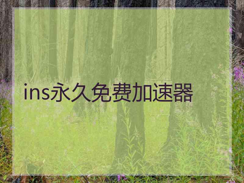 ins永久免费加速器
