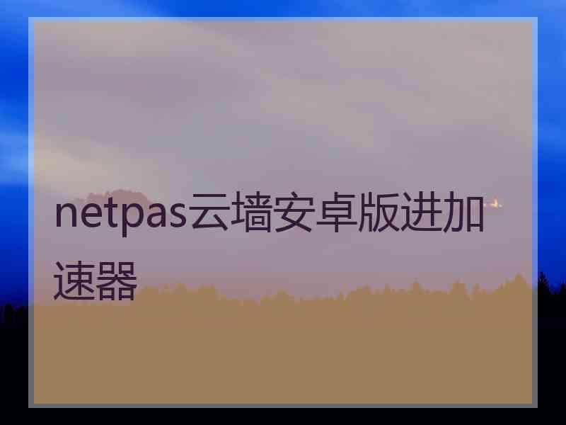 netpas云墙安卓版进加速器