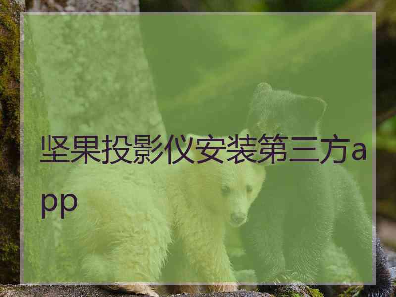 坚果投影仪安装第三方app