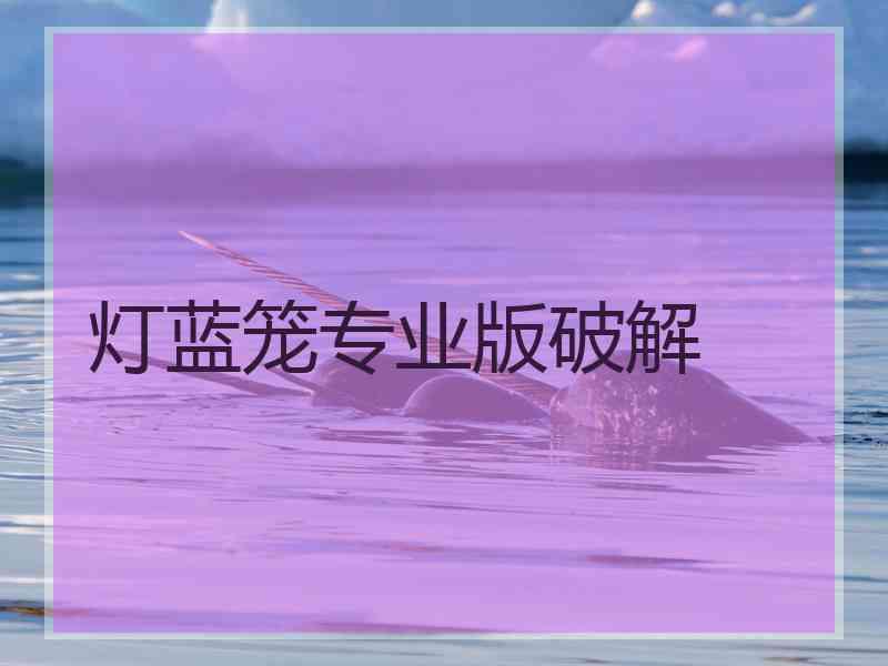 灯蓝笼专业版破解