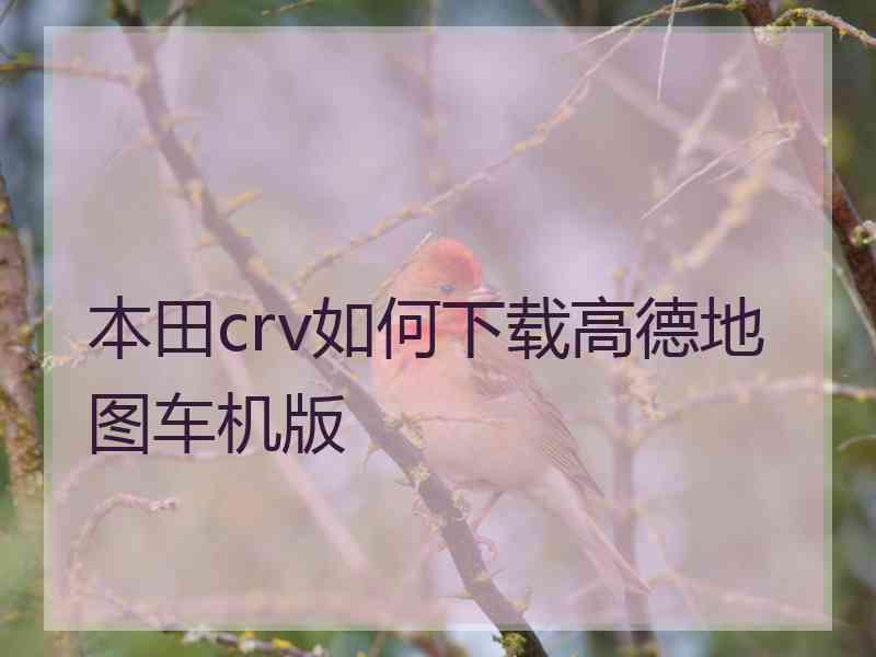 本田crv如何下载高德地图车机版