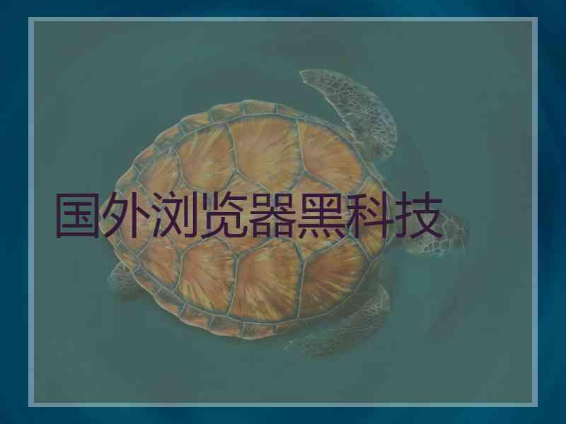 国外浏览器黑科技