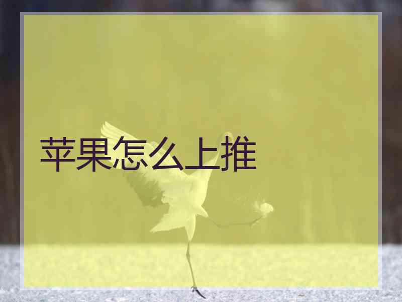 苹果怎么上推