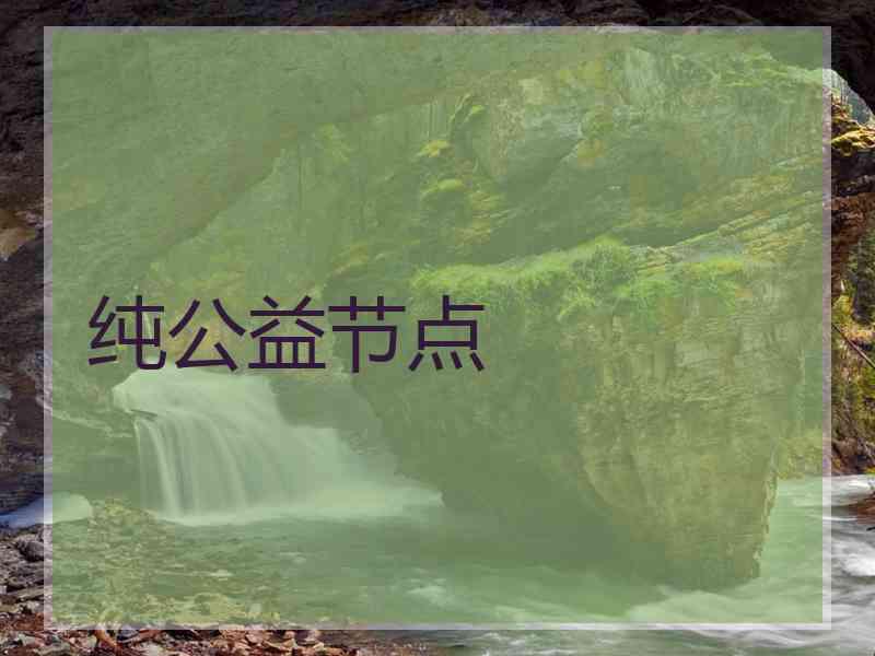 纯公益节点