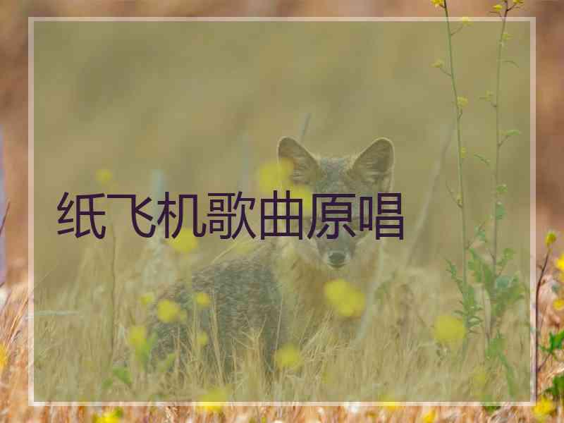 纸飞机歌曲原唱