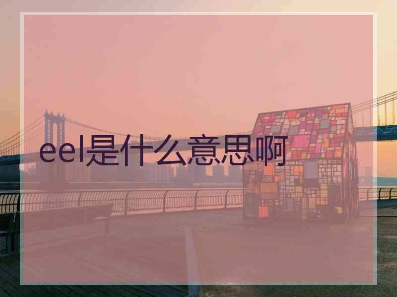 eel是什么意思啊