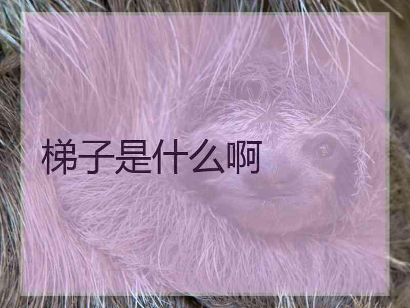 梯子是什么啊