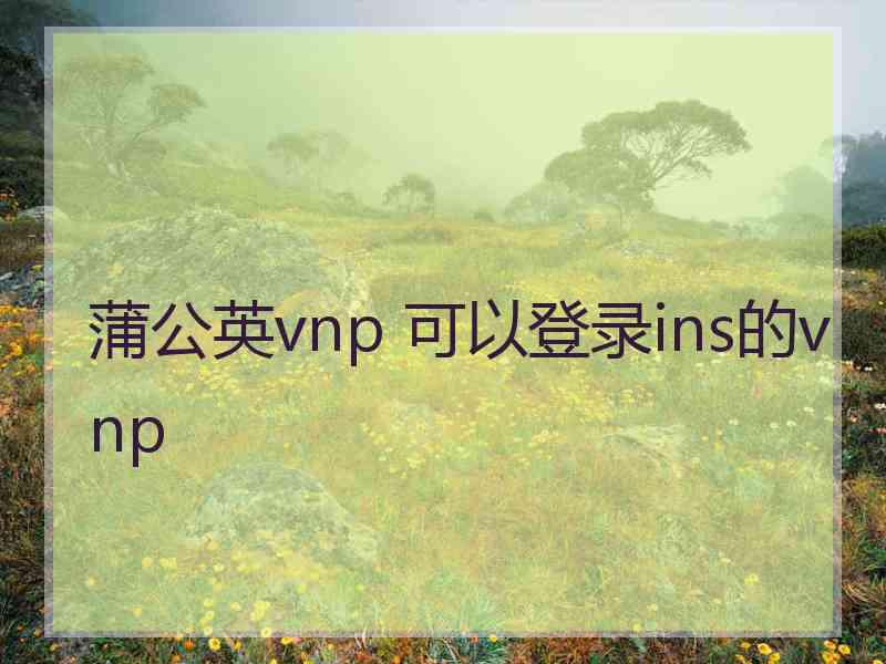 蒲公英vnp 可以登录ins的vnp