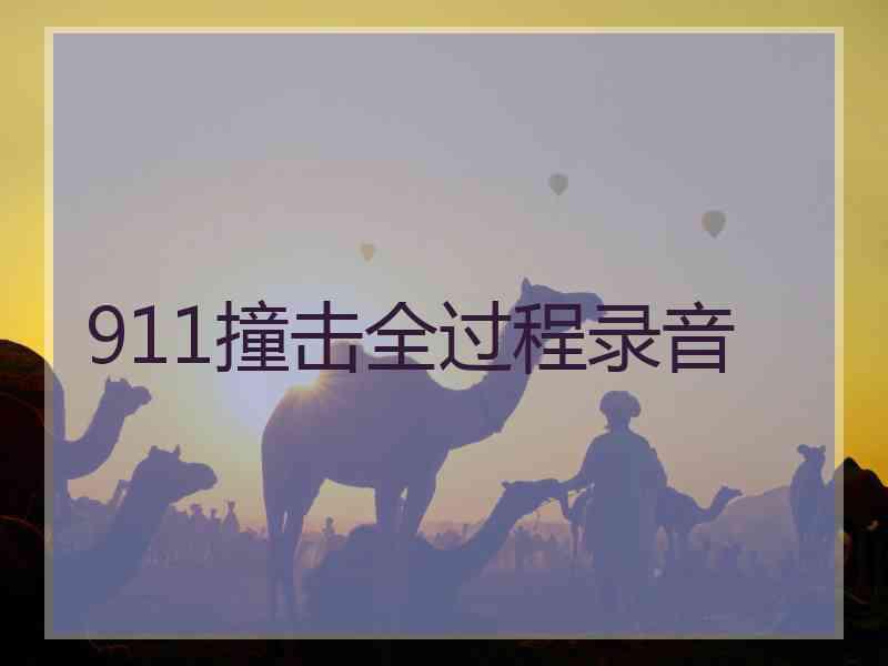 911撞击全过程录音