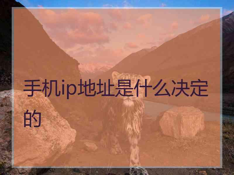 手机ip地址是什么决定的