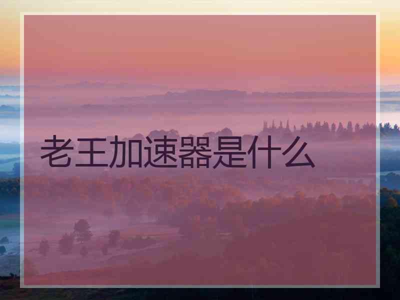 老王加速器是什么