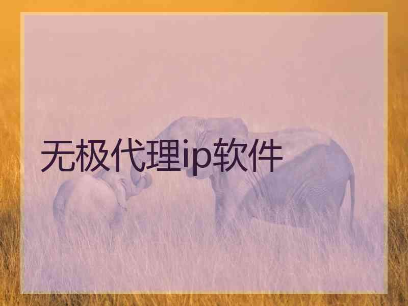 无极代理ip软件