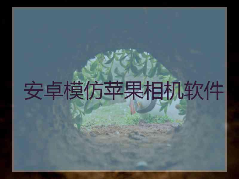 安卓模仿苹果相机软件