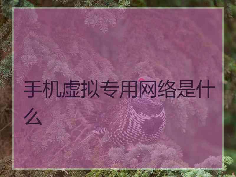 手机虚拟专用网络是什么