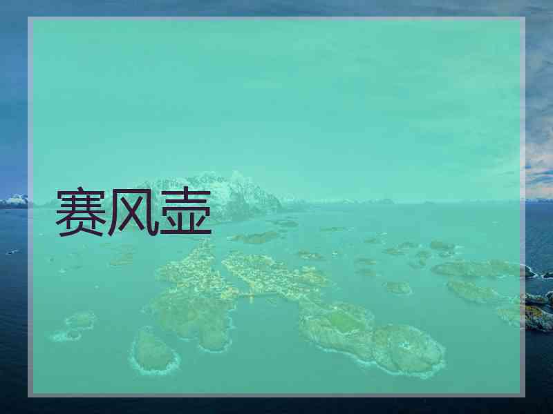 赛风壶