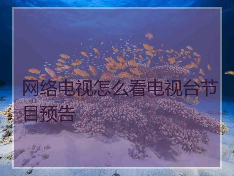 网络电视怎么看电视台节目预告