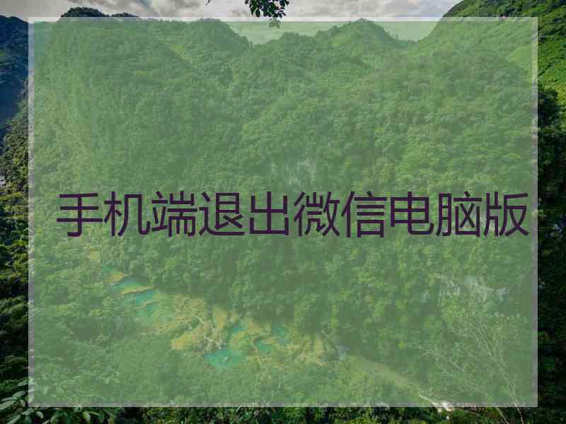 手机端退出微信电脑版