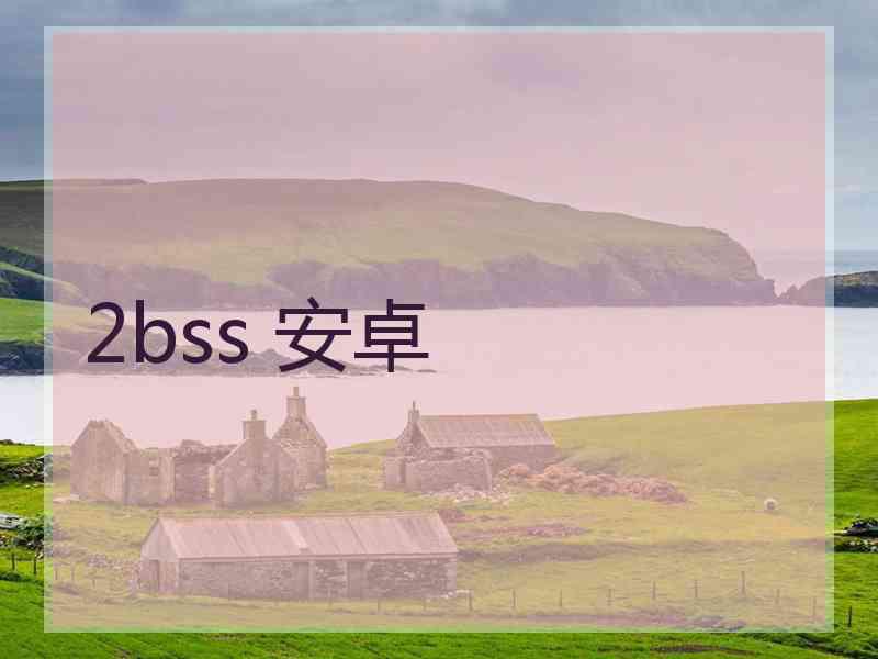 2bss 安卓