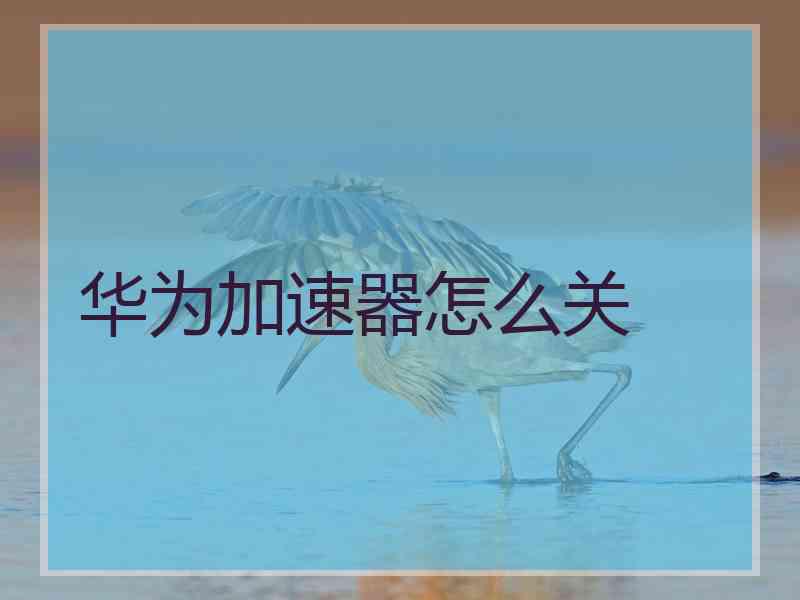 华为加速器怎么关