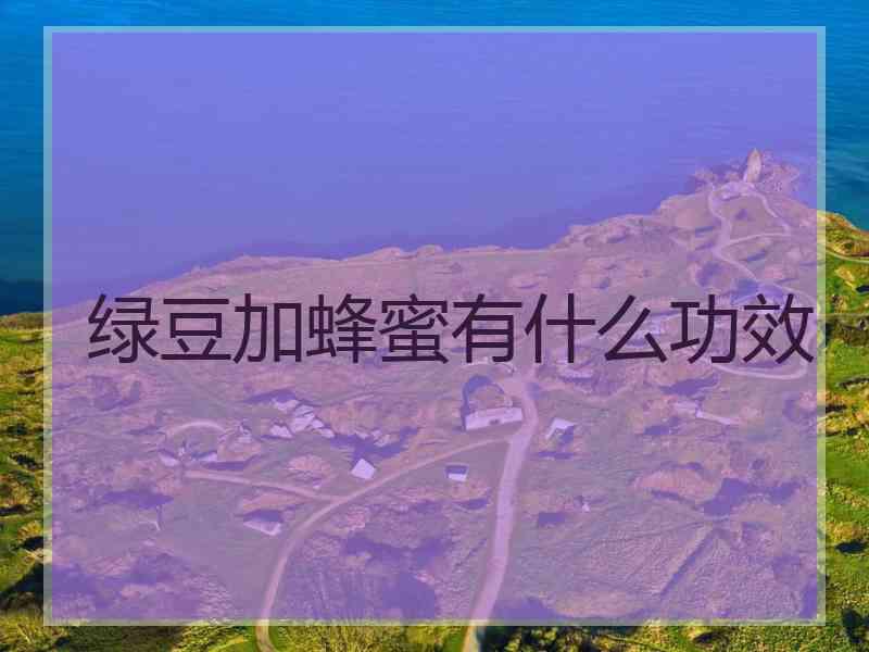 绿豆加蜂蜜有什么功效