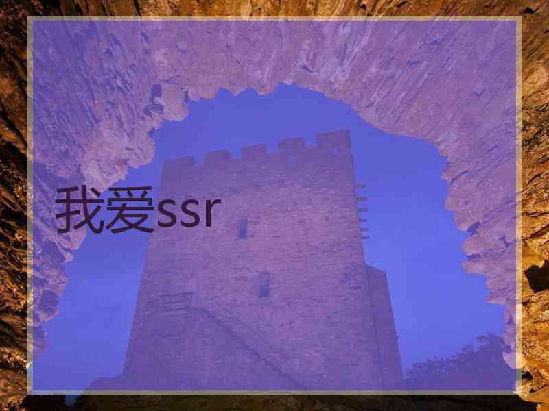我爱ssr