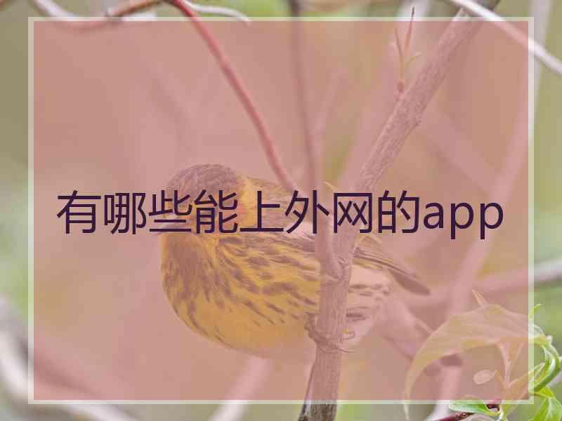 有哪些能上外网的app