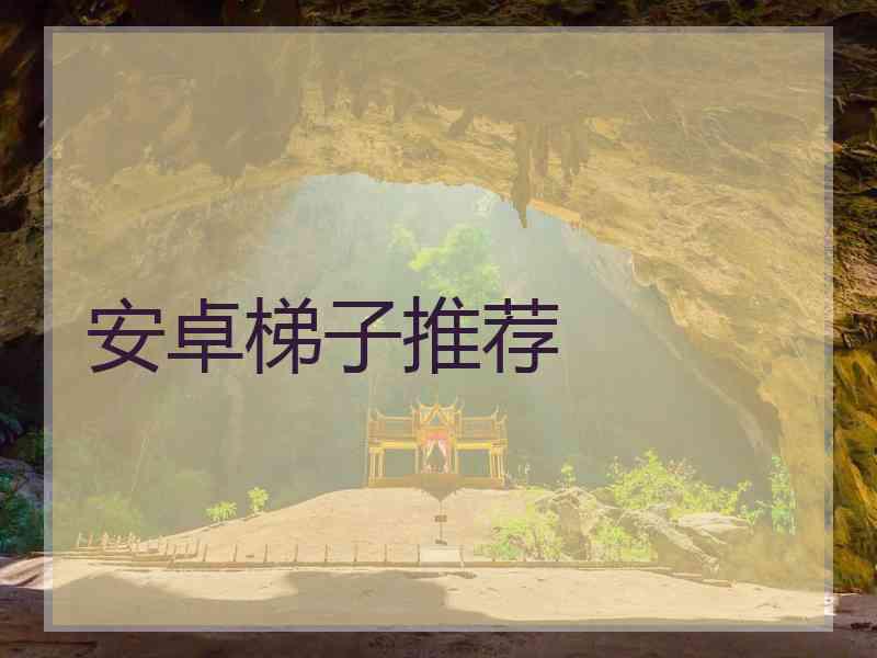 安卓梯子推荐