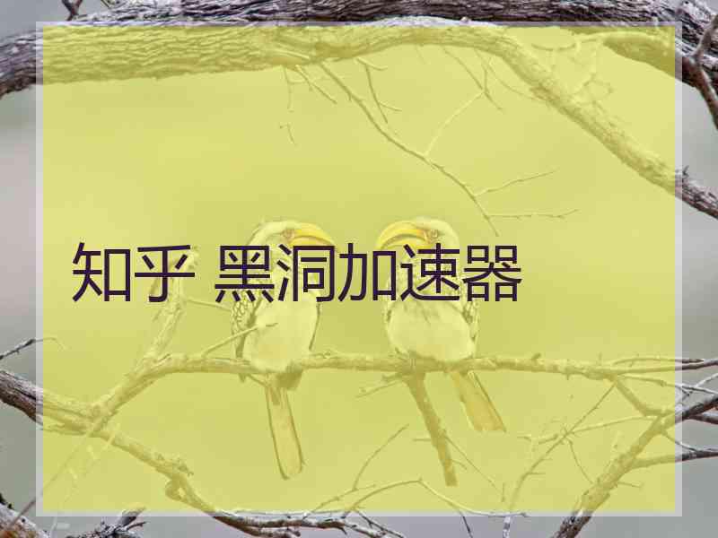 知乎 黑洞加速器