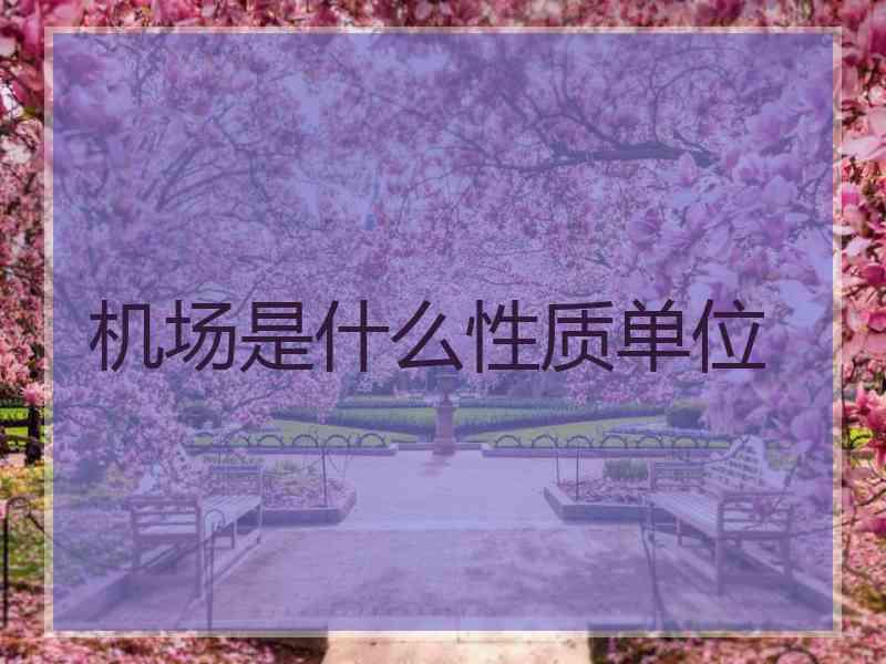 机场是什么性质单位