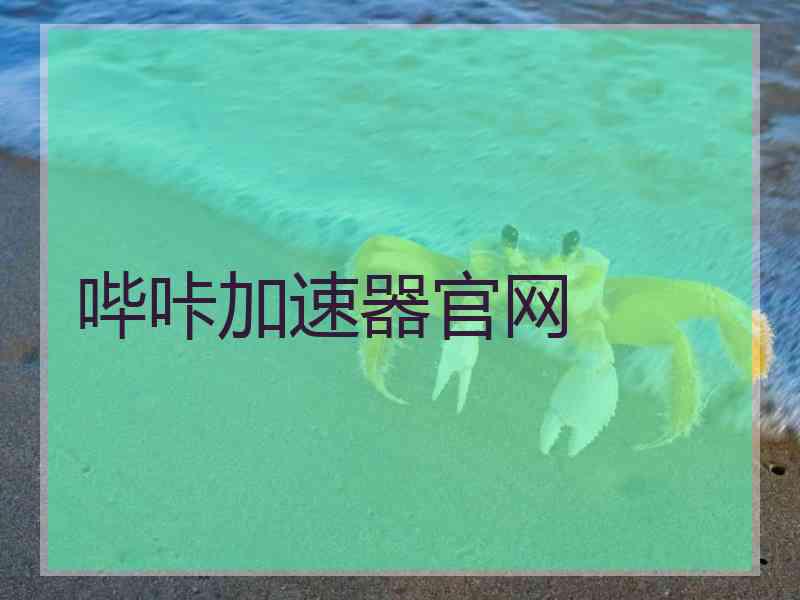 哔咔加速器官网