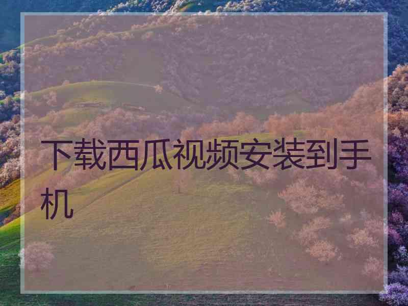 下载西瓜视频安装到手机