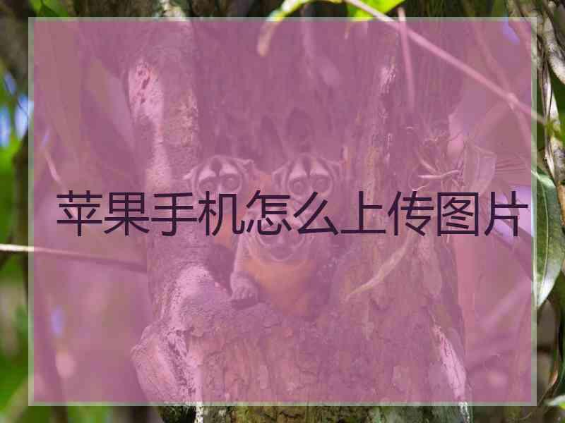 苹果手机怎么上传图片