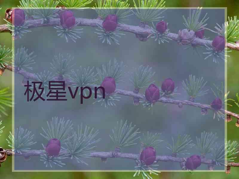 极星vpn