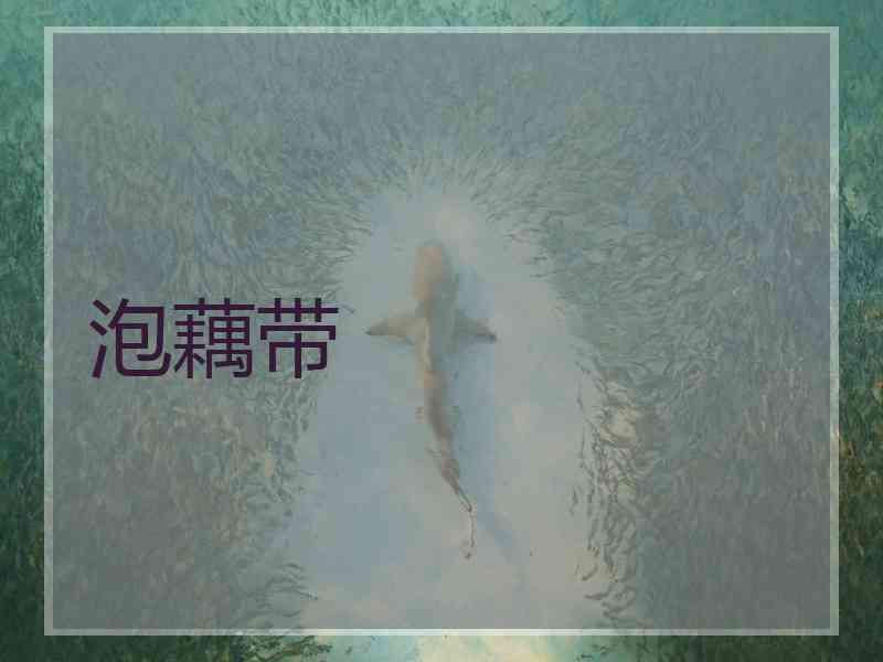 泡藕带