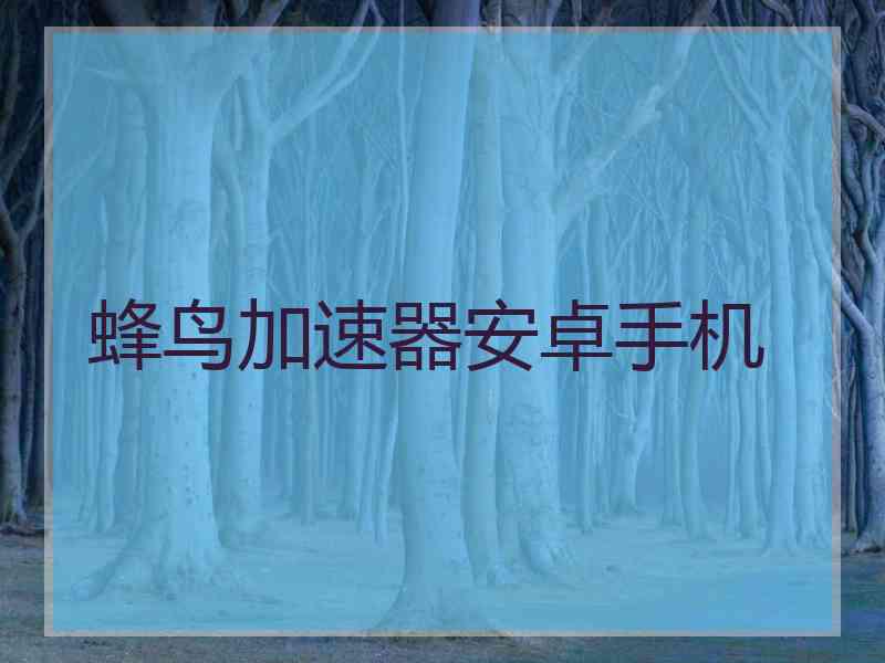 蜂鸟加速器安卓手机