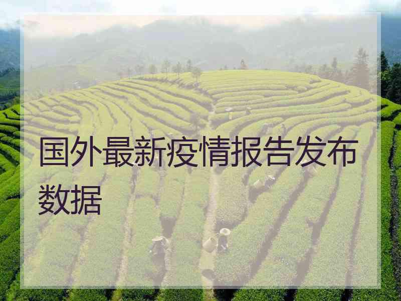 国外最新疫情报告发布数据