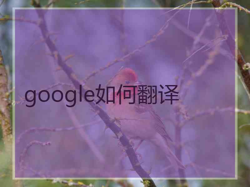 google如何翻译