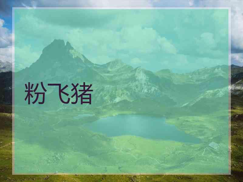 粉飞猪