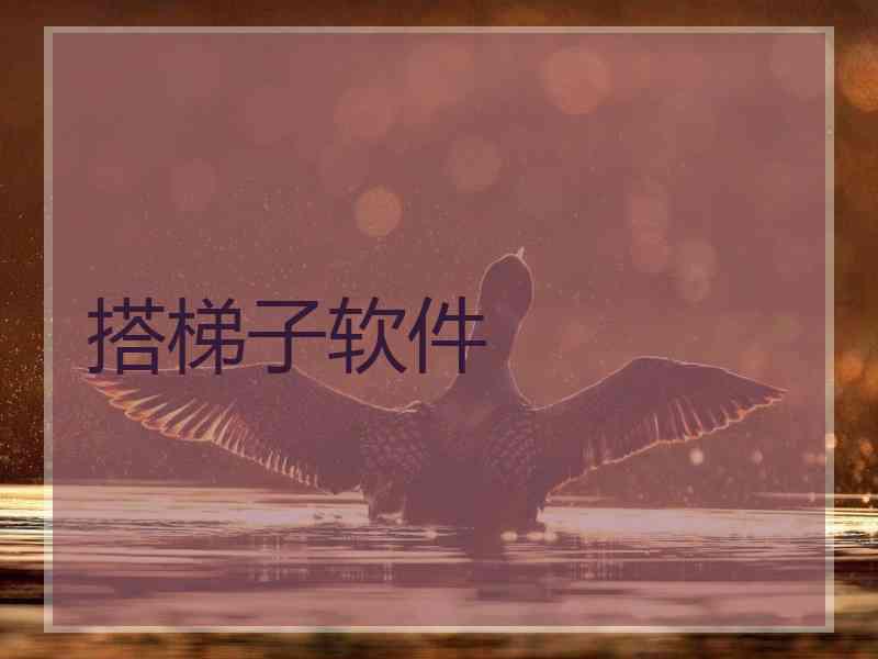 搭梯子软件