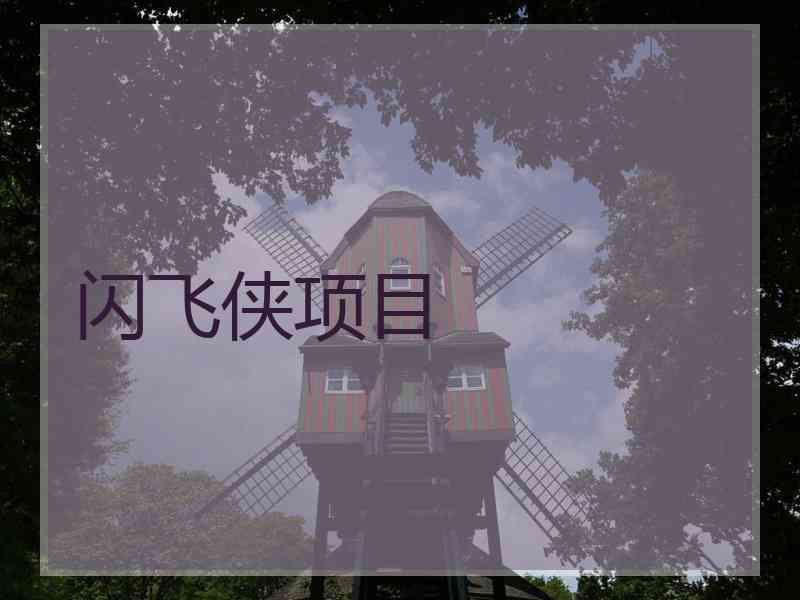 闪飞侠项目
