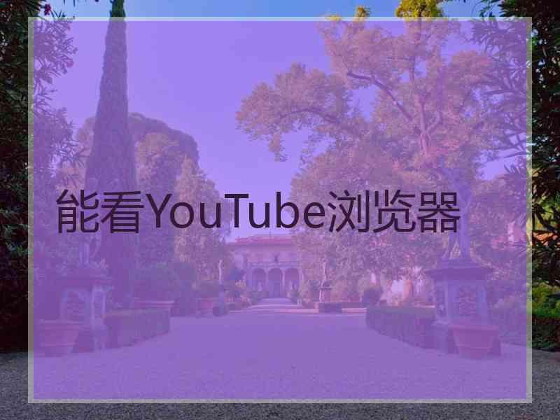 能看YouTube浏览器
