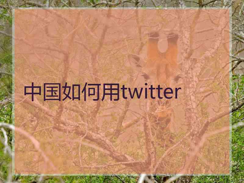 中国如何用twitter